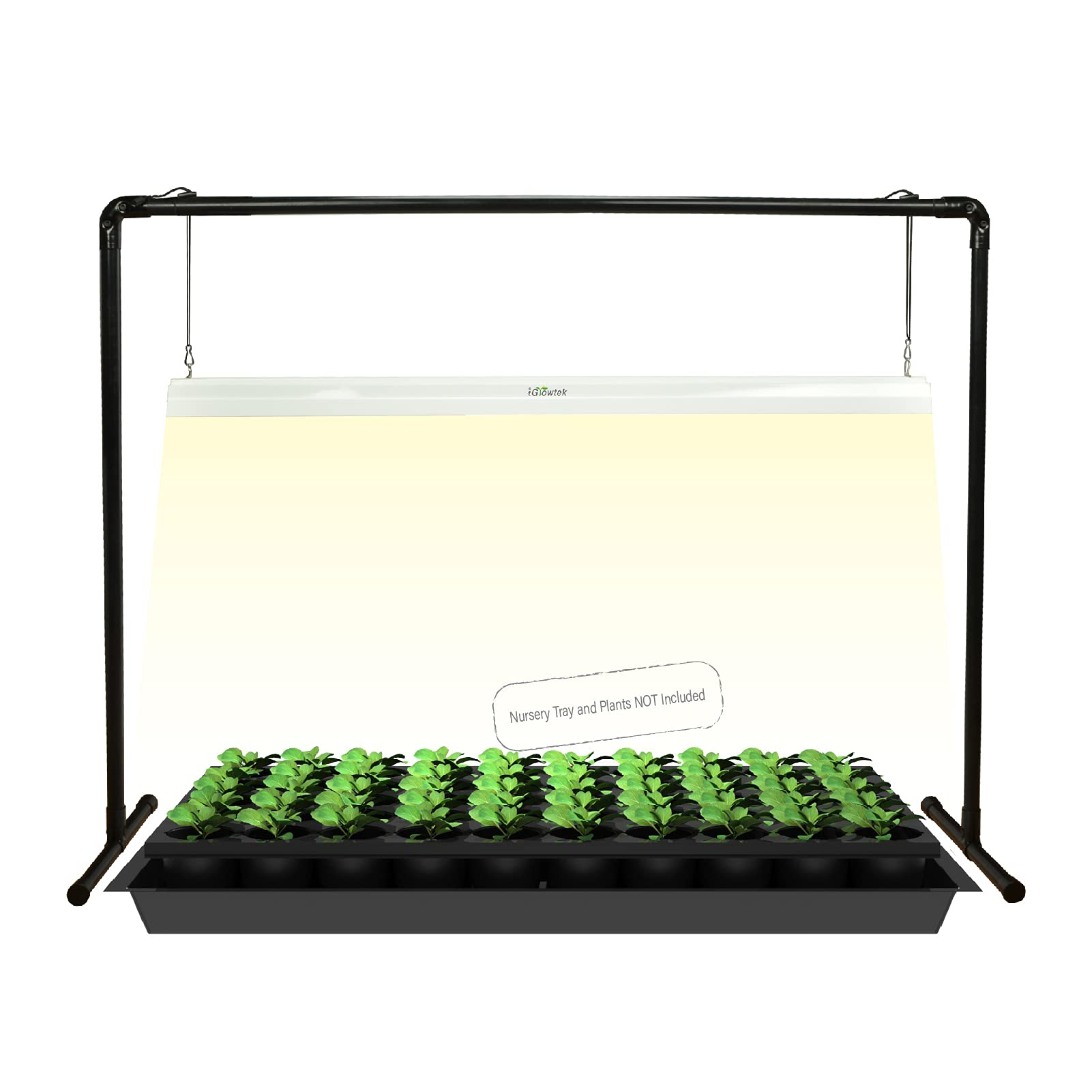 Amazon.com: iGrowtek 2 feet LED Grow Light Stand for Seedling,Iron
